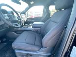 New 2025 Ford F-150 XLT 4x4 SuperCrew 6.5' Box