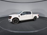 New 2025 Ford F-150 XLT 4x4 SuperCrew 5.5' Box