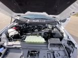 New 2025 Ford F-150 XLT 4x4 SuperCrew 5.5' Box