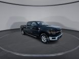 New 2025 Ford F-150 XLT 4x4 SuperCrew 6.5' Box