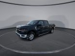 New 2025 Ford F-150 XLT 4x4 SuperCrew 6.5' Box