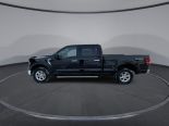 New 2025 Ford F-150 XLT 4x4 SuperCrew 6.5' Box