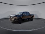 New 2025 Ford F-150 XLT 4x4 SuperCrew 5.5' Box