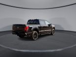 New 2025 Ford F-150 XLT 4x4 SuperCrew 5.5' Box