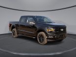 New 2025 Ford F-150 XLT 4x4 SuperCrew 5.5' Box