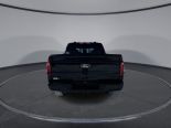 New 2025 Ford F-150 XLT 4x4 SuperCrew 5.5' Box