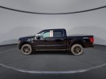 New 2025 Ford F-150 STX 4x4 SuperCrew 5.5' Box