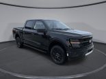 New 2025 Ford F-150 XLT 4x4 SuperCrew 5.5' Box