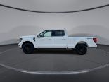 New 2025 Ford F-150 XLT 4x4 SuperCrew 6.5' Box
