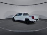 New 2025 Ford F-150 XLT 4x4 SuperCrew 6.5' Box