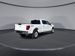 New 2025 Ford F-150 XLT 4x4 SuperCrew 6.5' Box