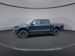 New 2025 Ford F-150 XLT 4x4 SuperCrew 5.5' Box