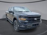 New 2025 Ford F-150 XLT 4x4 SuperCrew 5.5' Box