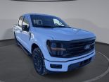 New 2025 Ford F-150 XLT 4x4 SuperCrew 5.5' Box