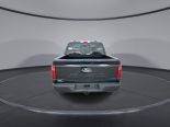 New 2025 Ford F-150 XLT 4x4 SuperCrew 5.5' Box