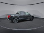 New 2025 Ford F-150 XLT 4x4 SuperCrew 5.5' Box