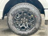 New 2025 Ford F-150 STX 4x4 SuperCrew 5.5' Box