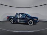 New 2025 Ford F-150 STX 4x4 SuperCrew 5.5' Box