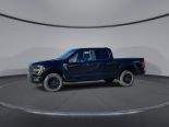 New 2025 Ford F-150 STX 4x4 SuperCrew 5.5' Box