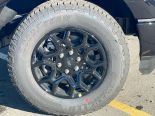 New 2025 Ford F-150 STX 4x4 SuperCrew 5.5' Box