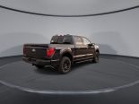 New 2025 Ford F-150 XLT 4x4 SuperCrew 5.5' Box