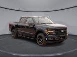 New 2025 Ford F-150 XLT 4x4 SuperCrew 5.5' Box