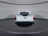 New 2025 Ford F-150 STX 4x4 SuperCrew 5.5' Box