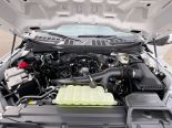 New 2025 Ford F-150 STX 4x4 SuperCrew 5.5' Box
