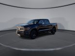 New 2025 Ford F-150 STX 4x4 SuperCrew 5.5' Box