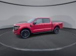 New 2025 Ford F-150 XLT 4x4 SuperCrew 5.5' Box