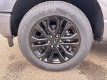 New 2025 Ford F-150 XLT 4x4 SuperCrew 6.5' Box