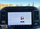New 2025 Ford F-150 XLT 4x4 SuperCrew 6.5' Box