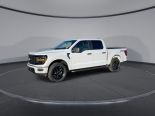 New 2025 Ford F-150 STX 4x4 SuperCrew 5.5' Box