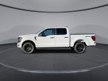New 2025 Ford F-150 STX 4x4 SuperCrew 5.5' Box