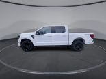 New 2025 Ford F-150 XLT 4x4 SuperCrew 5.5' Box