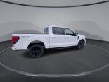 New 2025 Ford F-150 XLT 4x4 SuperCrew 5.5' Box