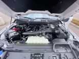 New 2025 Ford F-150 XLT 4x4 SuperCrew 5.5' Box