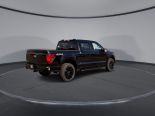 New 2025 Ford F-150 XLT 4x4 SuperCrew 5.5' Box