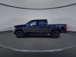 New 2025 Ford F-150 XLT 4x4 SuperCrew 5.5' Box