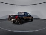 New 2025 Ford F-150 XLT 4x4 SuperCrew 5.5' Box
