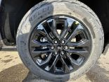 New 2025 Ford F-150 XLT 4x4 SuperCrew 5.5' Box