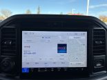 New 2025 Ford F-150 XLT 4x4 SuperCrew 5.5' Box