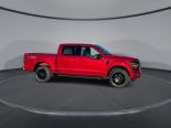 New 2025 Ford F-150 XLT 4x4 SuperCrew 5.5' Box
