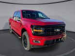 New 2025 Ford F-150 XLT 4x4 SuperCrew 5.5' Box