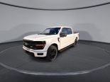 New 2025 Ford F-150 XLT 4x4 SuperCrew 5.5' Box