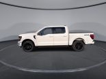 New 2025 Ford F-150 XLT 4x4 SuperCrew 5.5' Box