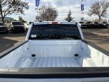 New 2025 Ford F-150 XLT 4x4 SuperCrew 5.5' Box