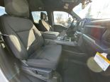 New 2025 Ford F-150 XLT 4x4 SuperCrew 5.5' Box