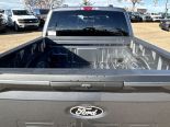 New 2025 Ford F-150 STX 4x4 SuperCrew 5.5' Box