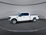 New 2025 Ford F-150 XLT 4x4 SuperCrew 6.5' Box